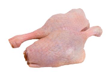Račje noge VB